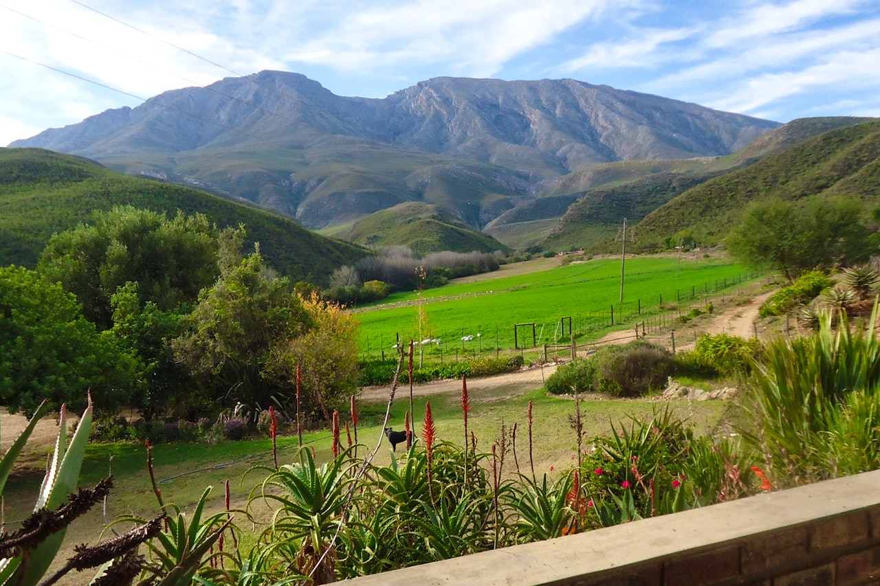 Garden Route Accommodation at  | Viya