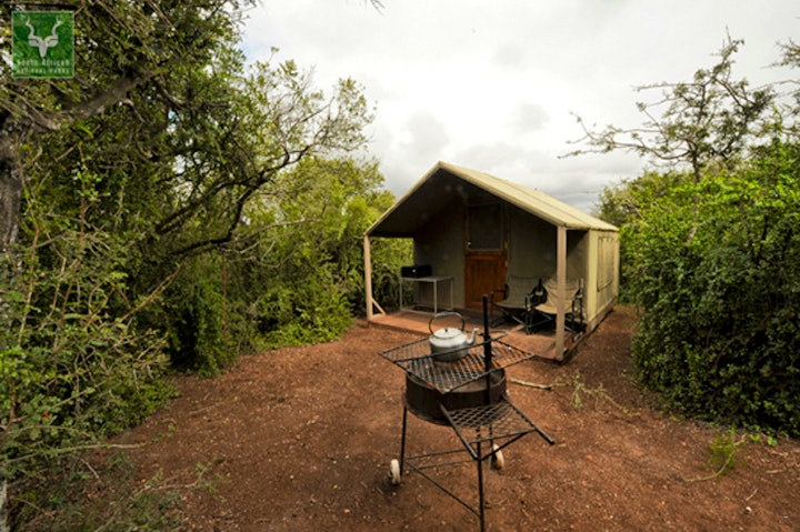 Eastern Cape Accommodation at SANParks Addo Spekboom Tented Camp | Viya