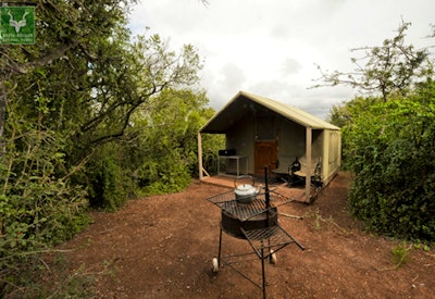  at SANParks Addo Spekboom Tented Camp | TravelGround