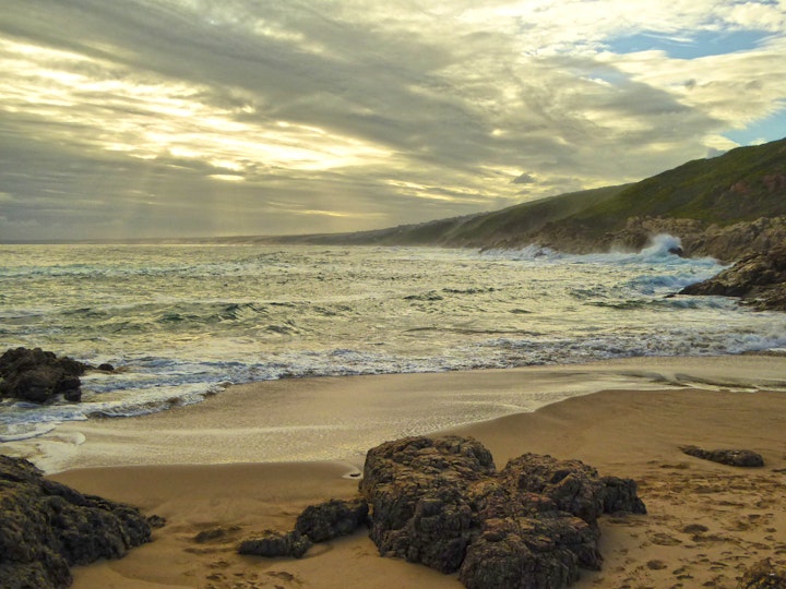 Garden Route Accommodation at Whale's Peek | Viya