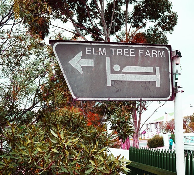 Elm Tree Guest Farm Travelground