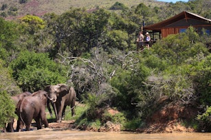 Addo Elephant National Park 