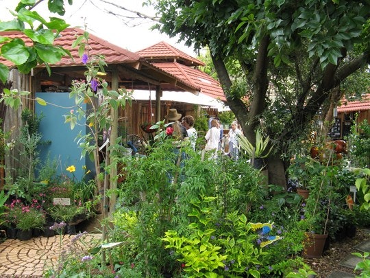 Bryanston Organic Market