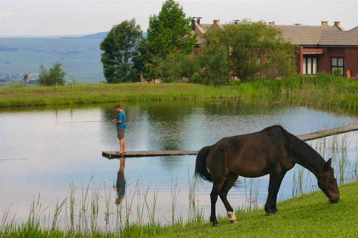 Mpumalanga Accommodation at Gooderson Kloppenheim Country Estate Hotel | Viya