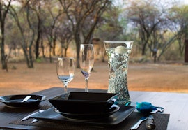 Dinokeng Game Reserve Accommodation at Foreva Wild | Viya