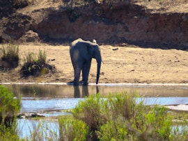 Kruger National Park South Accommodation at Meerkatgat 3341 Seekoei Road | Viya