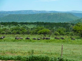 KwaZulu-Natal Accommodation at Slievyre Game Farm | Viya