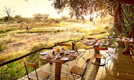 Mpumalanga Accommodation at Motswari Private Game Reserve | Viya