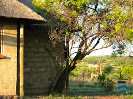 Dinokeng Game Reserve Accommodation at Five Pebbles on Piece of Africa | Viya