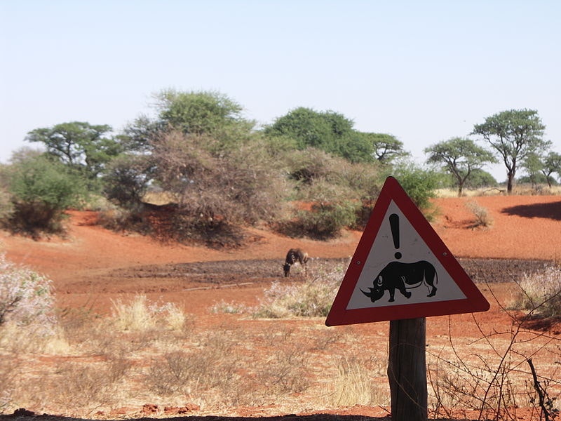 More about Mokala National Park LekkeSlaap