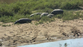 Kruger National Park South Accommodation at Rio Vista Lodge | Viya