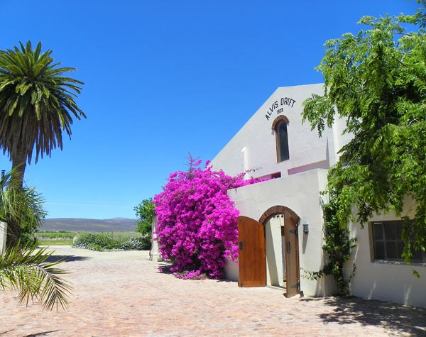 Alvi’s Drift Private Cellar