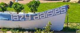 West Coast Accommodation at The Lazy Daisies | Viya