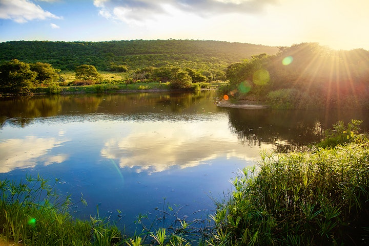 Eastern Cape Accommodation at Premier Resort Mpongo Private Game Reserve | Viya
