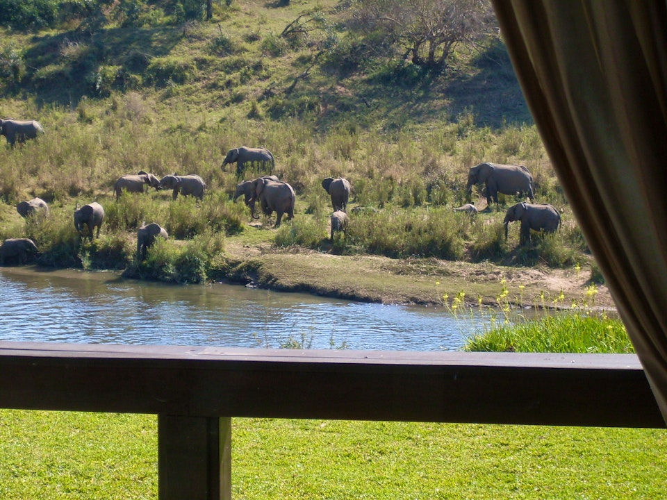 Kruger National Park South Accommodation at  | Viya