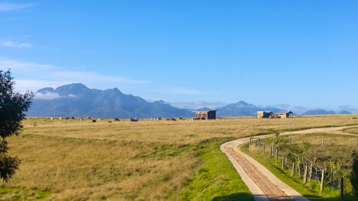 Western Cape Accommodation at Colnera | Viya