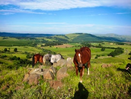 KwaZulu-Natal Accommodation at Stormy Hill Country Cottage | Viya