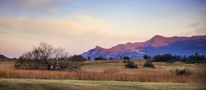 Free State Accommodation at Dynasty Red Mountain Ranch | Viya