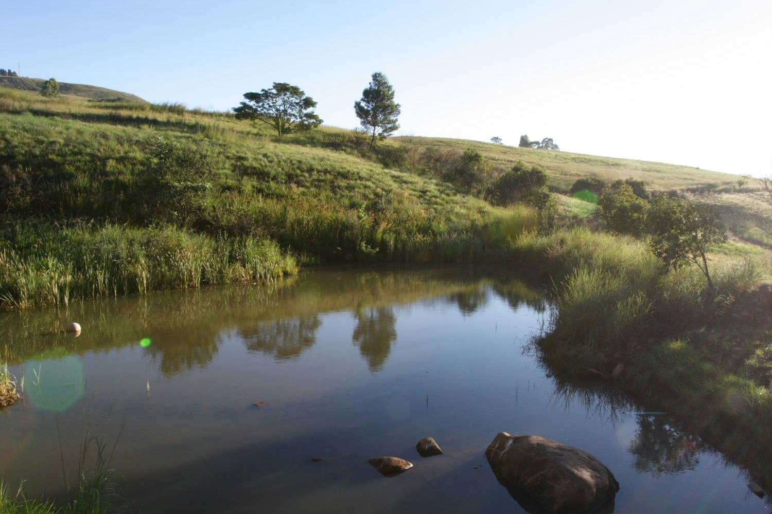 Lions River Country Cottages Midlands Self Catering Accommodation