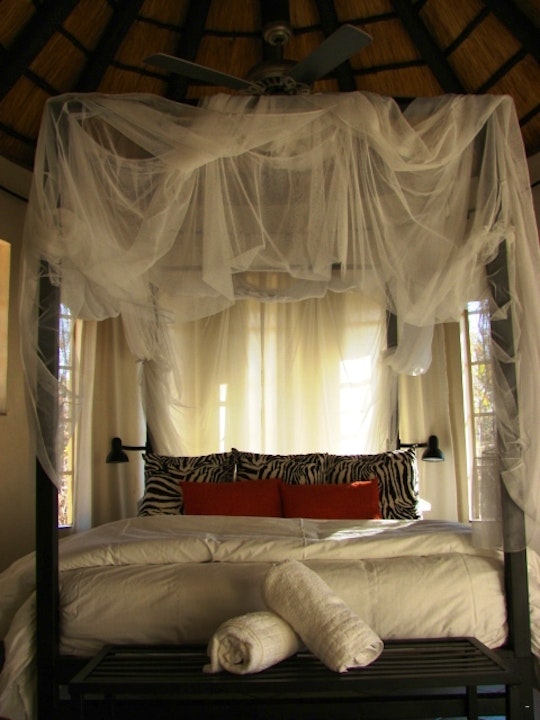 Kruger National Park South Accommodation at  | Viya