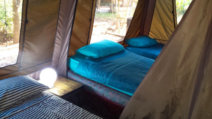 Kiepersol Accommodation at Hazyview Adventure Backpackers | Viya