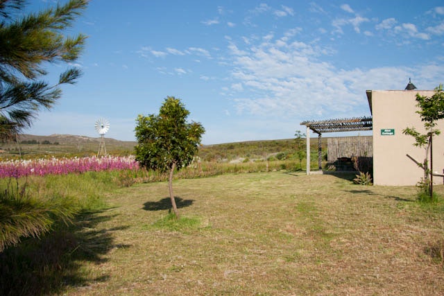 Vaalvlei