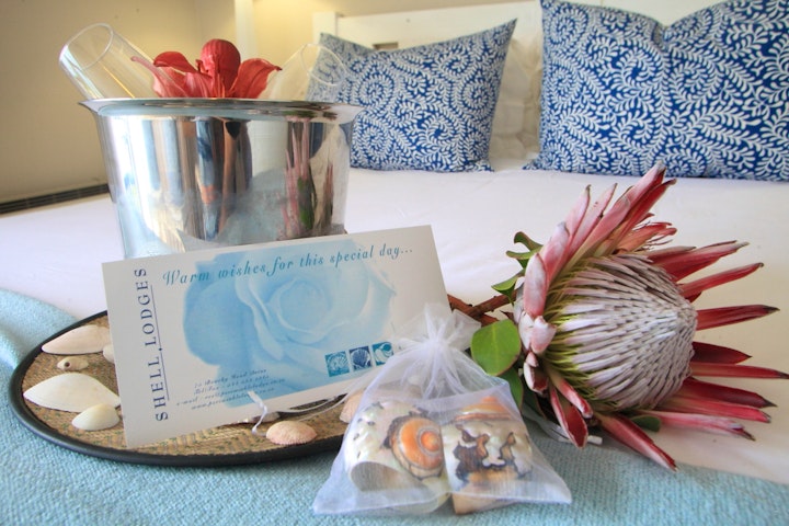 Garden Route Accommodation at Periwinkle Lodge | Viya