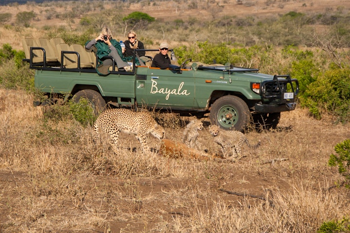 KwaZulu-Natal Accommodation at Bayala Private Safari Lodges | Viya