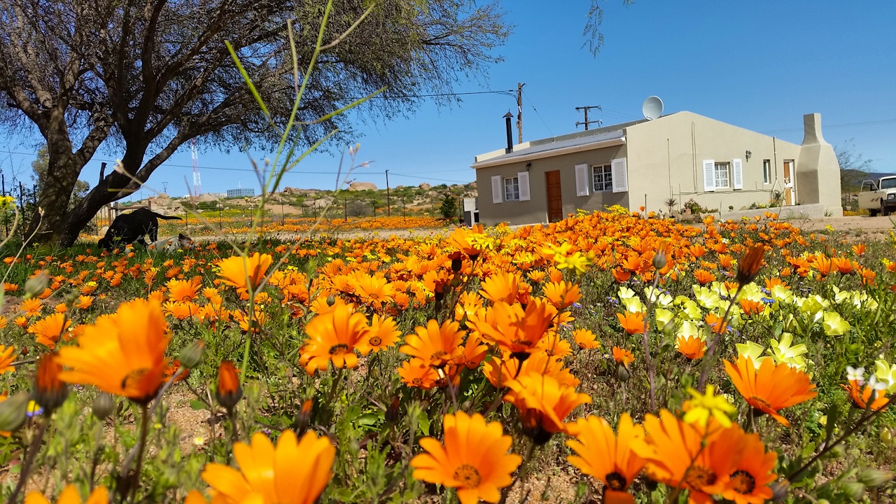 Namaqualand Accommodation at  | Viya