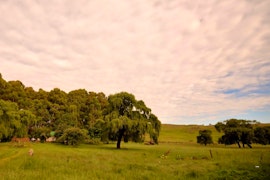 Mpumalanga Accommodation at  | Viya