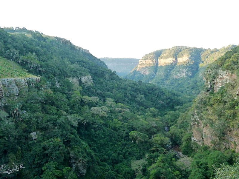 Kranskloof Nature Reserve