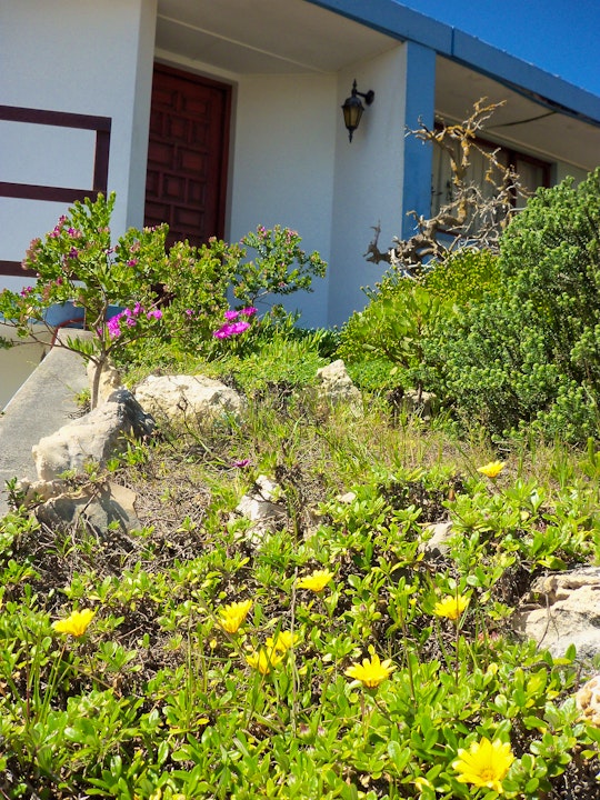 Struisbaai Accommodation at  | Viya