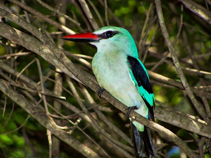 Limpopo Accommodation at Gem Bateleur Private Lodge | Viya