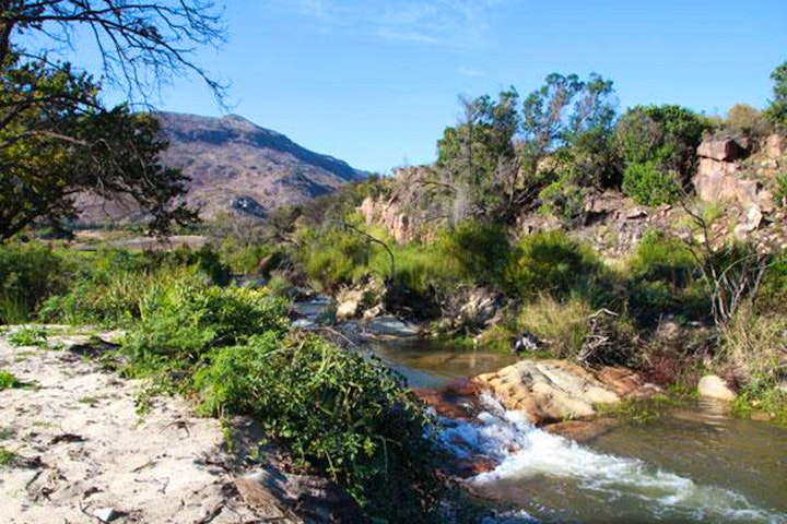 Cederberg Accommodation at Bosrivier Campsite | Viya