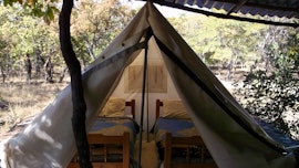 Dinokeng Game Reserve Accommodation at  | Viya