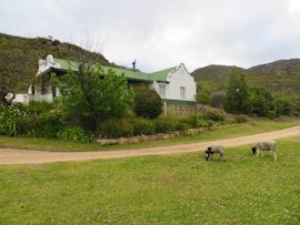 Garden Route Accommodation at  | Viya