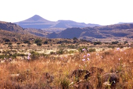 Karoo Accommodation at The Vale Karoo Farm | Viya