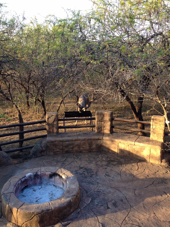 Mpumalanga Accommodation at Lidvubu Lodge | Viya