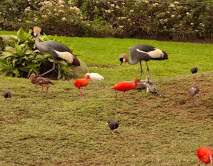 Gonubie Bird Sanctuary