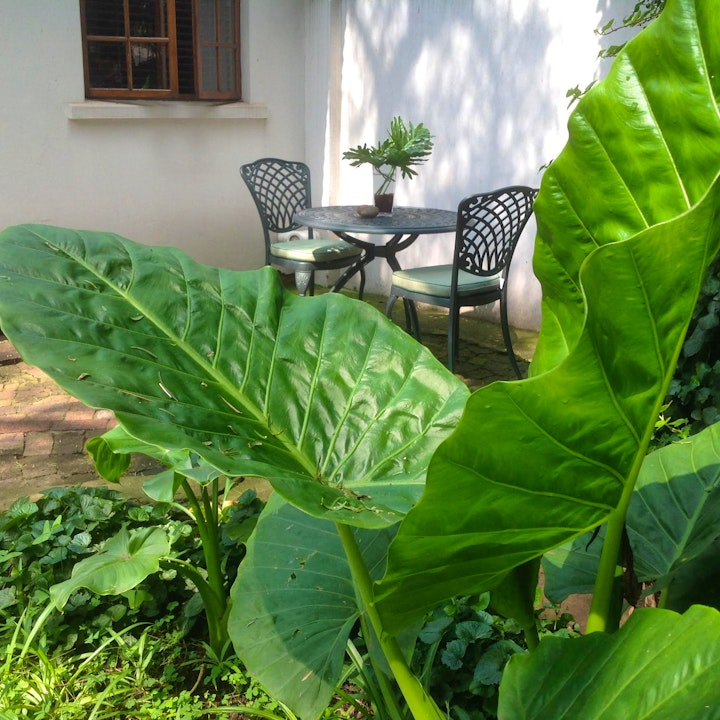 Pretoria Accommodation at Jansen House Boutique Manor | Viya