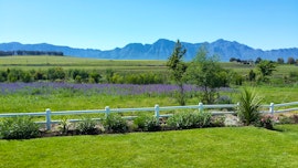 Riebeek-Kasteel Accommodation at Klein Eikeboom Guest Farm | Viya