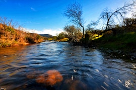 Western Cape Accommodation at Enjo Nature Farm | Viya