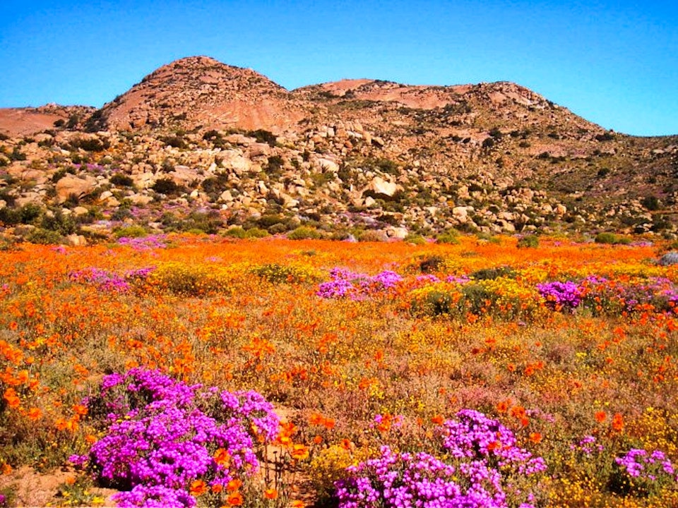 Namaqualand Accommodation at  | Viya