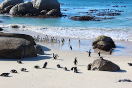 Simon's Town Accommodation at Boulders Beach House | Viya