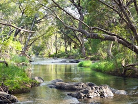 Kruger To Canyons Accommodation at Blyde River Cabin | Viya