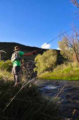 Eastern Cape Accommodation at Glen Doone Farming | Viya