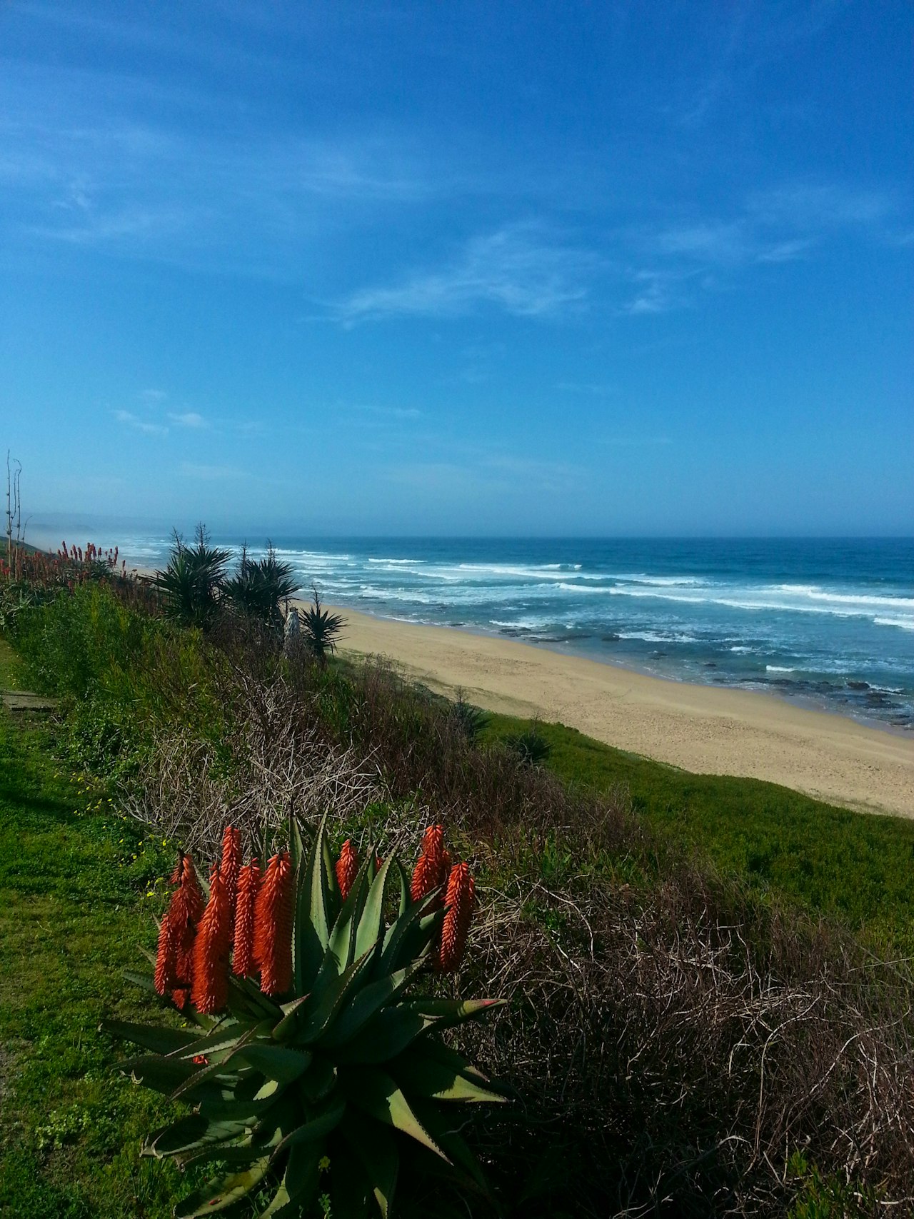 Garden Route Accommodation at  | Viya