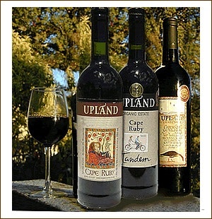 More about Upland Organic Fruit and Wine Farm TravelGround