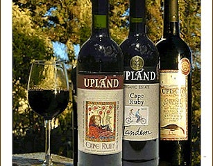 Upland Organic Fruit and Wine Farm