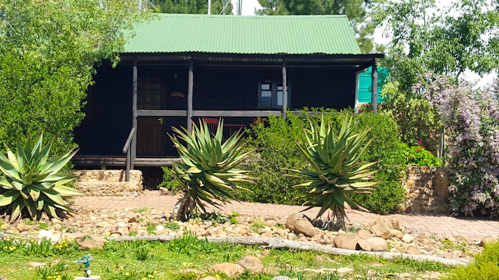 Boland Accommodation at Fynbos Guest Farm & Animal Sanctuary | Viya